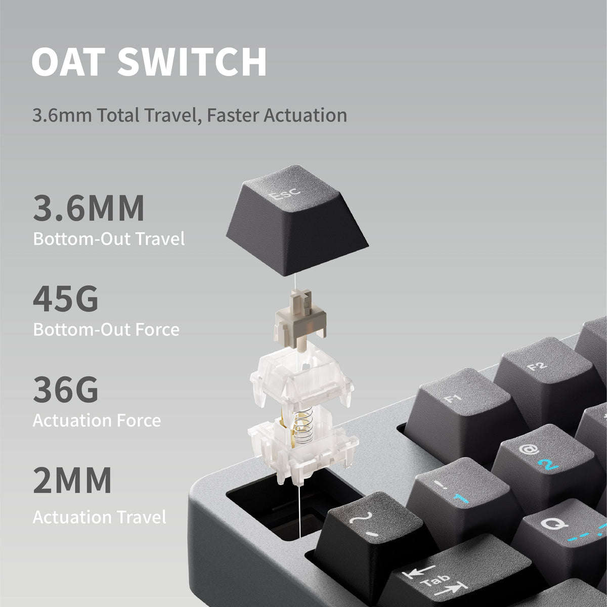 Oat switch and its travel and force figures