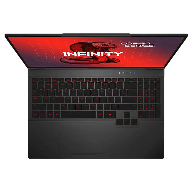 Infinity Cobra 7 16in WQXGA 180Hz Ryzen 9 8940HX RTX 5070 1TB SSD 16GB RAM W11H Gaming Laptop (Cobra 7-DRAR9-899)