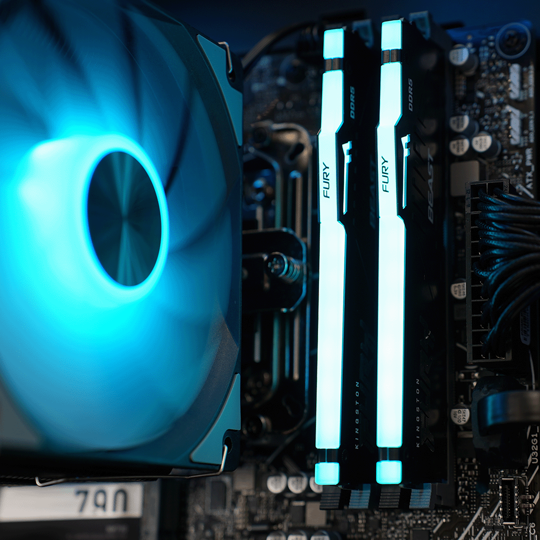 TERROR Prime
