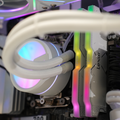Delta Ultra White